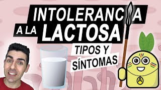 INTOLERANCIA A LA LACTOSA  Tipos y síntomas de un intolerante a la lactosa  ¿Qué es la lactasa [upl. by Syned]