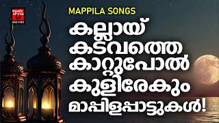 Mappilapattukal  Mappila Pattukal Malayalam  Malayalam Mappila Songs  Old Mappilappattukal [upl. by Nnylatsirk576]