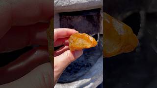 Cutting Open a Beautiful Carnelian with Banding I Tillamook rockhounding shorts agate lapidary [upl. by Artkele86]