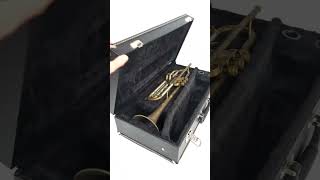 A Trumpet by KGUmusic for Every Day of the Week kgumusic trumpet brasswind [upl. by Einnov55]