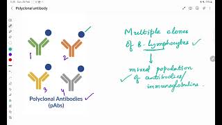 Polyclonal antibody [upl. by Gosney]