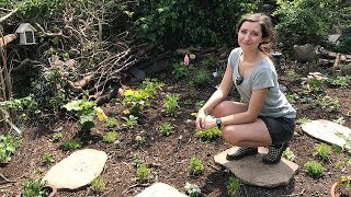 May Allotment Garden Tour 2018 [upl. by Ultann]