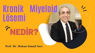 Kronik Miyeloid Lösemi KML Nedir [upl. by Rori734]