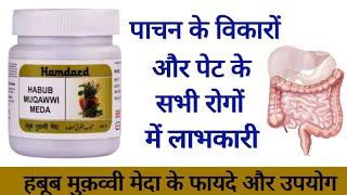 Habub Muqawwi Meda ke fayde Uses amp Dosage in hindi  Hamdard [upl. by Nahtiek]