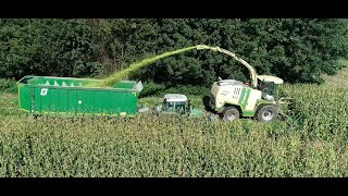 Maishäckseln LU Biggel mit Krone Big X1100 und 12Reihen Maisgebiss Claas Fendt Teil 8 2024 4K [upl. by Alrac326]