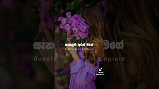 දෙනුවන් පියෙනා  Denuwan piyena  Cover denuwan piyena kalayata mage  treinding music cover [upl. by Morgun589]