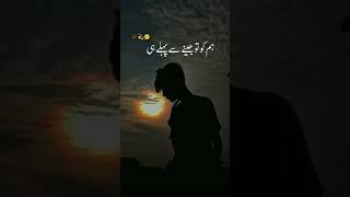 har dard pa shart lagate ho awaz na nikle siskiyon ki whatsapp status taqdeer ost song [upl. by Conias195]