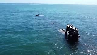 Haunted Alkimos Shipwreck Drone Footage [upl. by Cerelia182]