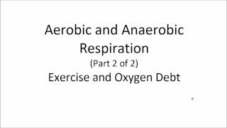 Aerobic and Anaerobic Respiration  Exercise and Oxygen Debt Part 2 of 2  GCSE Science  Biology [upl. by Anabel799]