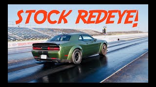 Dodge Challenger SRT Hellcat REDEYE 14 Mile Drag Race  STOCK  103  TORONTO MOTORSPORTS CAYUGA [upl. by Calbert292]