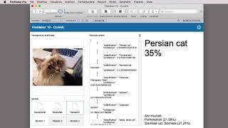FileMaker 19 e Core ML Prima parte [upl. by Nayr]