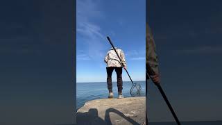 Fishing Ashtabula Break Wall for Monster Steelhead fishing lakeerien fish steelheadfishing [upl. by Declan898]