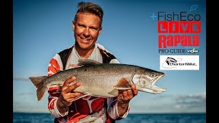 Allt om trolling på Vättern med Ove Johansson  Rapala Proguide [upl. by Ntsuj778]