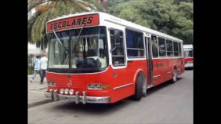 Buses Escolares Tuning  Argentina [upl. by Delaryd663]