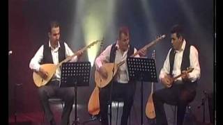 Turkish Folk Music Telli Turnam [upl. by Leasim758]