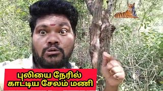 புலியை நேரில் காட்டிய சேலம் மணி 🙄  salem mani  tiger [upl. by Iclek]