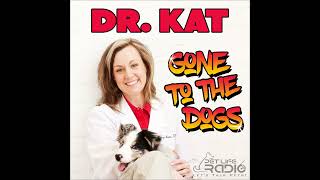 Dr Kat Gone to the Dogs  Episode 18 What Fleas Do Not Want You To Know About Them [upl. by Norvil]