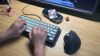 bd60 wkl × hmx hyacinth v2u [upl. by Eastlake]