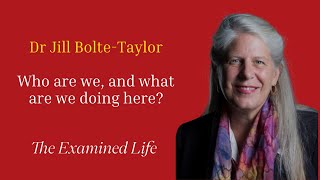 Dr Jill BolteTaylor  Who are we and what are we doing here [upl. by Crispen]