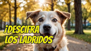 ¿Qué Significan Realmente los Ladridos de tu Perro [upl. by Nodnil]