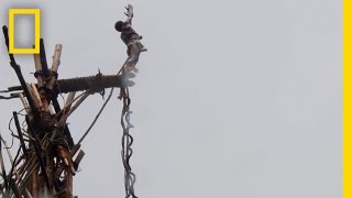 Amazing POV Jump With the Original Bungee Jumpers  National Geographic [upl. by Alimrahs167]