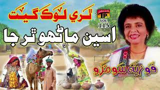 Assen Manhro Thar Ja  Fozia Soomro  Sindhi Hits Old Song  Best Sindhi Song  TP Sindhi [upl. by Wilmette]