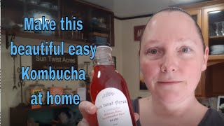 How to make kombucha at home Easy beginner kombucha recipe [upl. by Bishop346]