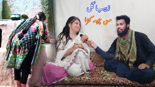 Ziba gul Sora mar Zibagul Tiktok Ziba gulley most interview with Fctv shekh  viral video [upl. by Aridan]