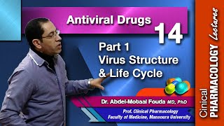 Antiviral Chemotherapy  Part 1 virus structure and life cycle [upl. by Annoeik449]