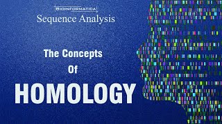 The concepts of Homology  HOMOLOGS ANALOGS ORTHOLOGS PARALOGS XENOLOGS HOMEOLOGS [upl. by Arihas]