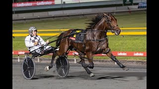 2024 Racing amp SportsCom Divided Open Pace 2138M Albion Park Australia  Leap To Fame 1512 [upl. by Asserat893]