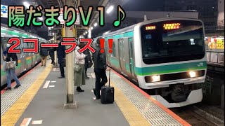 常磐線 成田線 東海道線 新橋駅２番線発車メロディー【陽だまりV1♪】E231系成田行き到着発車 [upl. by Knepper]