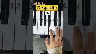 Despacito  Piano Tutorial  Su Piano🎹 piano trending pianotutorial despacito xuhuong [upl. by Heddy]