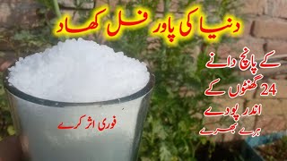 how to use urea fertilizer best method to use urea fertilizer uriya khad istemal Karne Ka Tarika [upl. by Eintruok]