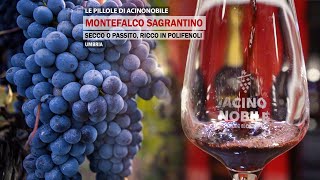 Montefalco Sagrantino  Il vino fruttato Secco o Passito  Umbria [upl. by Marrilee]