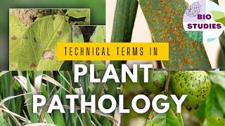 Technical Terms In Plant Pathology plantpathology botany plantscience biostudies [upl. by Marybelle]