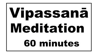 Vipassana Meditation 45 Minutes S N Goenka [upl. by Marabel]