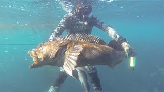 MeatEaters How To Fillet A Lingcod With Steven Rinella and Andrew Radzialowski [upl. by Anitsuga615]