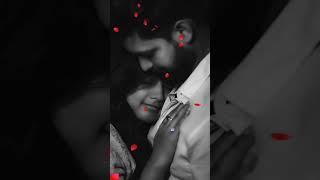 வாசலிலே பூசணிப்பூ💕💕shortvideo trending [upl. by Ynaffat]