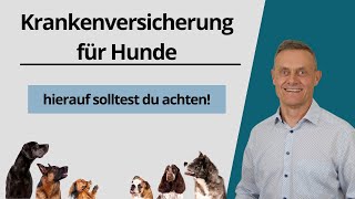 Hundekrankenversicherung  Vollschutz Tierkrankenversicherung [upl. by Curnin964]