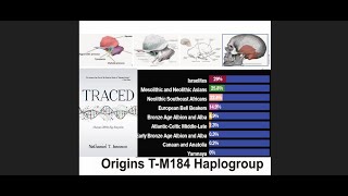 Israel Stone Age vs Copper Age PROXY TM184 haplogroup [upl. by Faina]