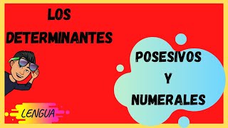 Los DETERMINANTES POSESIVOS Y NUMERALES [upl. by Ahsiekel]