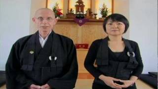 How to Meditate  Beginners Introduction to Zazen [upl. by Daven633]