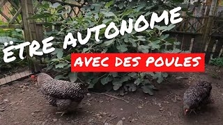 Que faut til pour être autonome avec des poules [upl. by Akimaj]