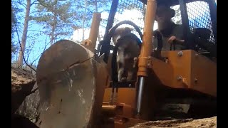 letting my dog ride in the dozer for the first time😁 trail dozer [upl. by Edouard960]