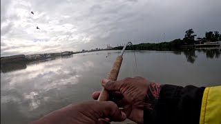 OFFROAD4LIFE Fishing in Grunter Gully Durban [upl. by Horten]