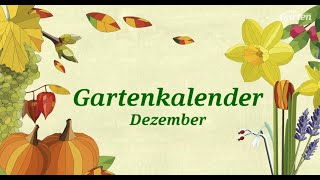 MDR Gartenkalender für Dezember Gartentipps für den Winter  MDR Garten [upl. by Terena]