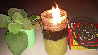 Goodbye Katol Hello Oregano Mosquito Repellent  DIY How to Make Oregano Oil Lamp Iwas Dengue [upl. by Analad]