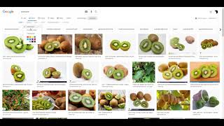 Erklärvideo Bild von Google herunterladen [upl. by Acinorahs756]