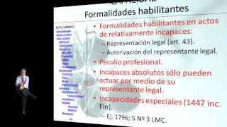 VIDEO 4 RESUMEN TEORIA DEL ACTO JURIDICO [upl. by Leclair349]